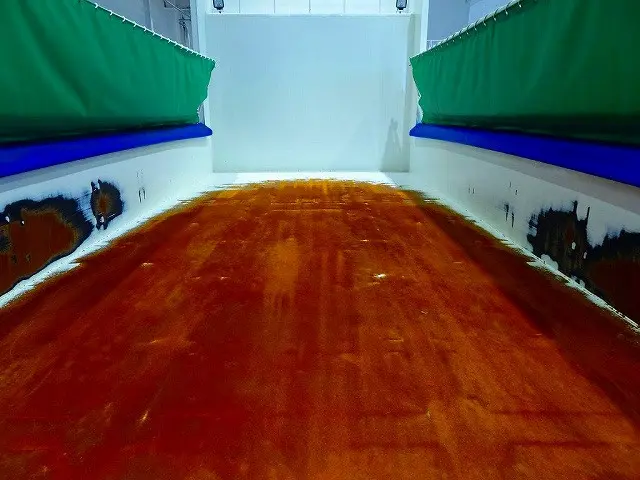 荷台内寸：510×220×51　極東開発/DD10-761　自動シート付(67cm)　前立て左右プロテクターはしご/作業灯2個|日野 プロフィア 2DG-FS1AGE(6x4)の写真24