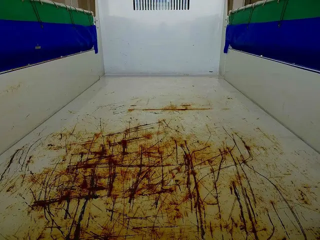 いすゞ エルフ 2PG-NKS88AN(4WD)の写真19