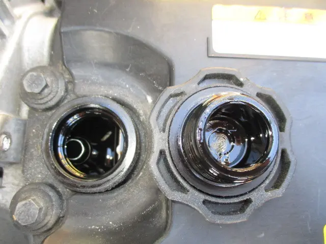 いすゞ エルフ 2RG-NJS88A(4WD)の写真5