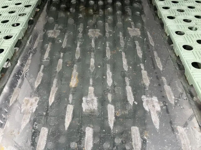 三菱 キャンター 2RG-FBAV0の写真14
