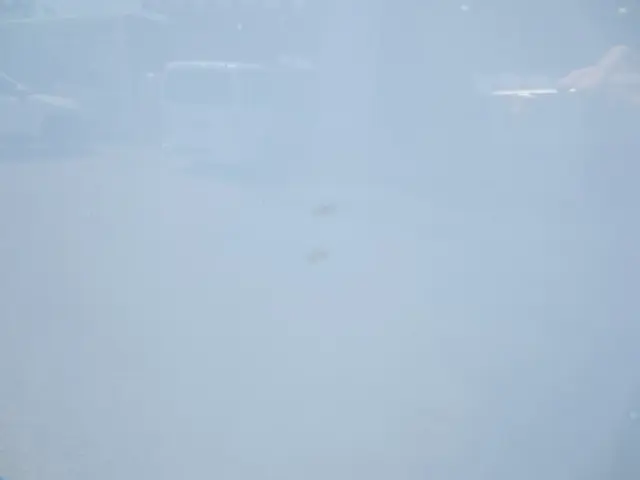 いすゞ エルフ 2RG-NMR88M(2WD)の写真18