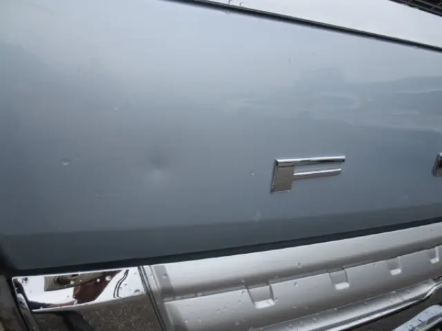 三菱 キャンター TPG-FEB50(2WD)の写真21
