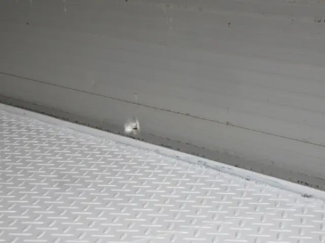 いすゞ フォワード 2RG-FRR90S1(2WD)の写真26