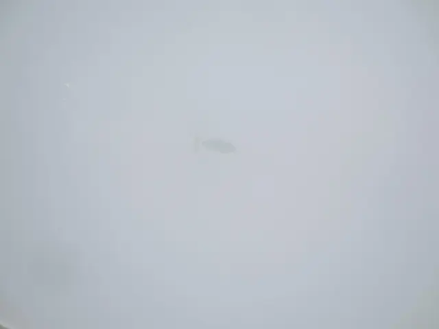 三菱 ファイター 2KG-FK62F(2WD)の写真23