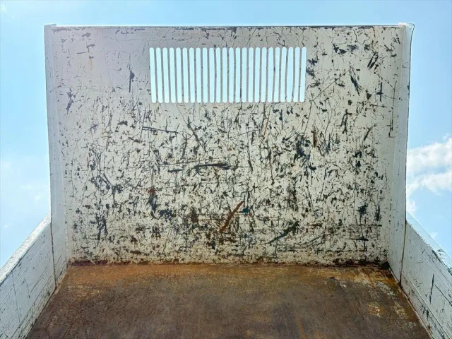 いすゞ エルフ 2RG-NJR88AD(2WD)の写真7