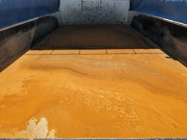 日野 プロフィア 2DG-FA1AGA(6x4)の写真11