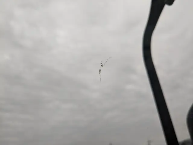 いすゞ フォワード TKG-FRR90S2(2WD)の写真41