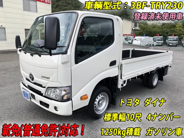 トヨタ ダイナ 3BF-TRY230(2WD)の写真1