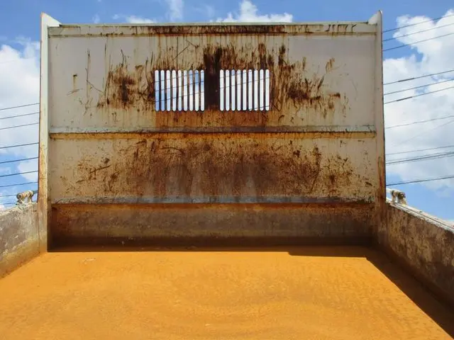 三菱 ファイター TKG-FK71F(2WD)の写真18