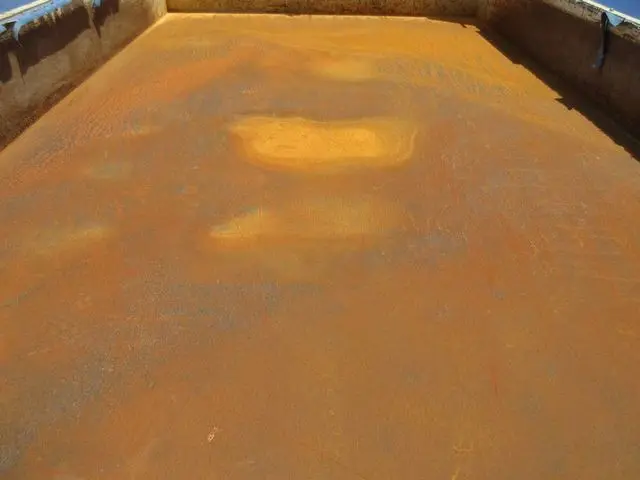 いすゞ フォワード 2PG-FRR90S1(2WD)の写真21