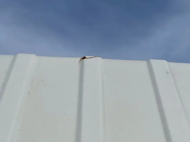 いすゞ エルフ TPG-NKR85AR(2WD)の写真36