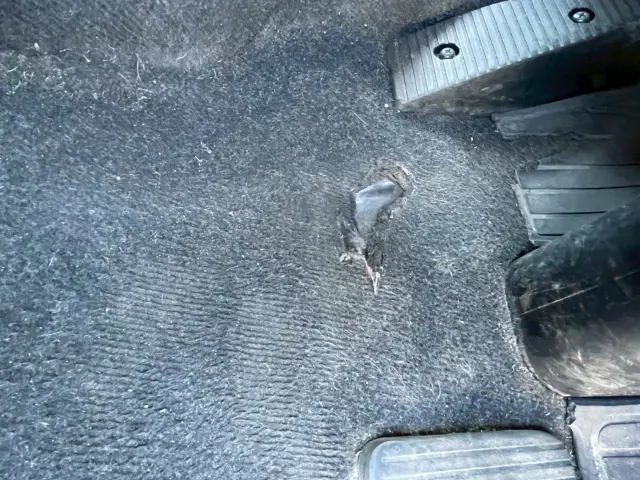 日野 レンジャー TKG-FD9JLAA(2WD)の写真48