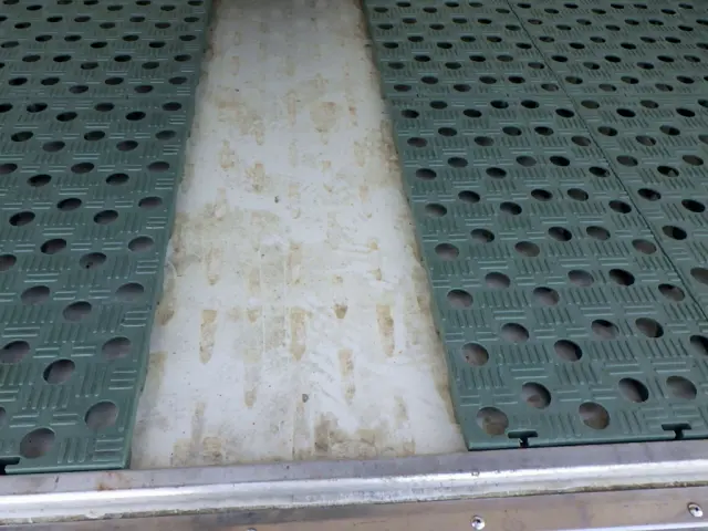 いすゞ エルフ 2RG-NLR88AN(2WD)の写真13