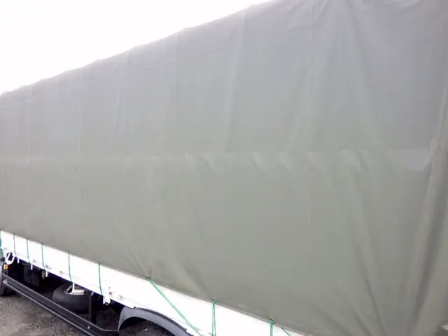 トヨタ ダイナ 2PG-XZU655(2WD)の写真29