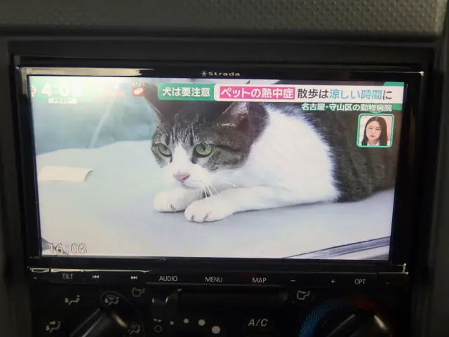 いすゞ エルフ 2RG-NNS88AN(4WD)の写真16