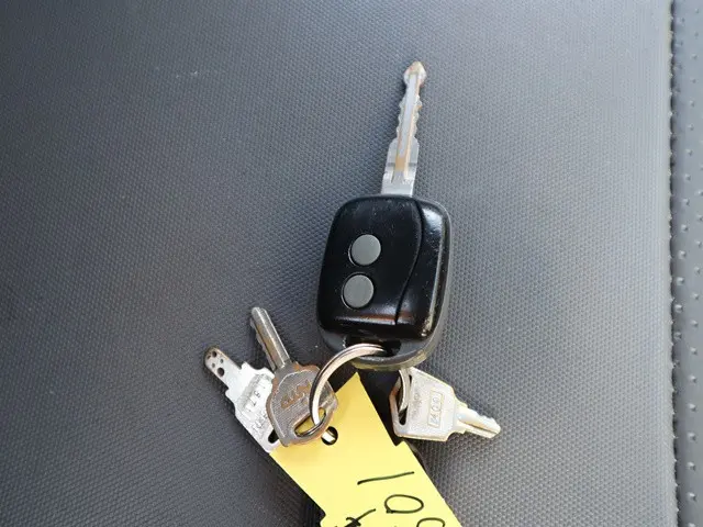 いすゞ エルフ TDG-NKS85AN(4WD)の写真44