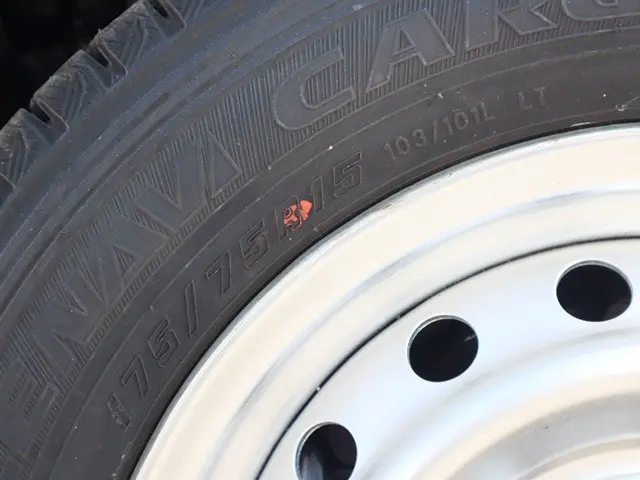 トヨタ ダイナ QDF-KDY231(2WD)の写真20