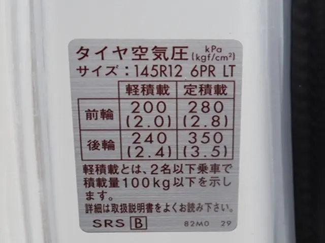 三菱 ミニキャブトラック EBD-DS16T(2WD)の写真22