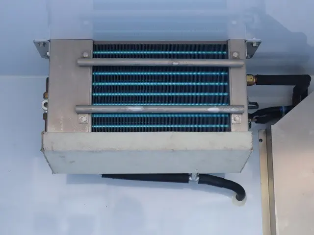 ダイハツ ハイゼットトラック 3BD-S500P(2WD)の写真14