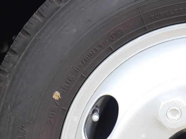 三菱 キャンター TPG-FEB50(2WD)の写真25