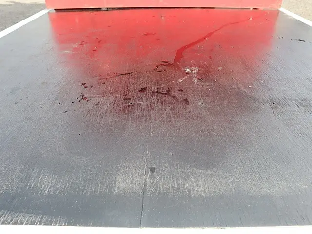 いすゞ エルフ TRG-NJR85A(2WD)の写真12