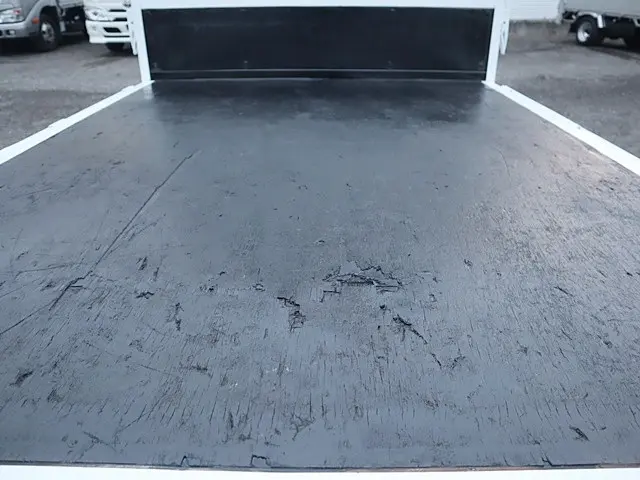 三菱 キャンター TPG-FBA20(2WD)の写真12