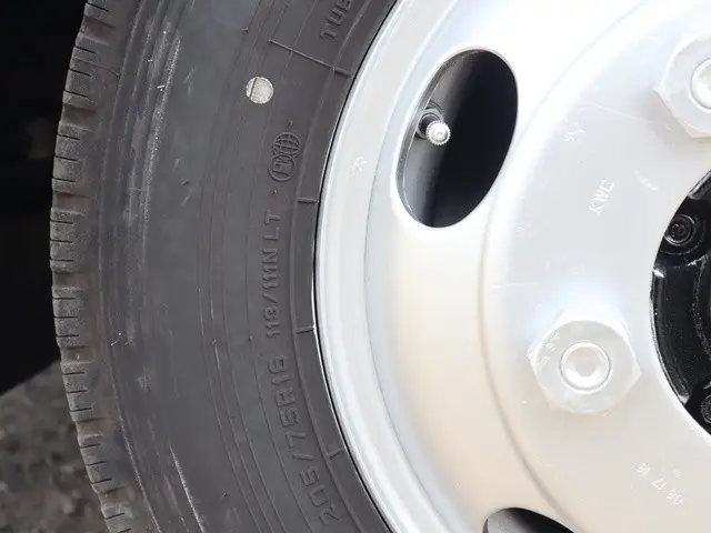 三菱 キャンター TPG-FEB50(2WD)の写真20