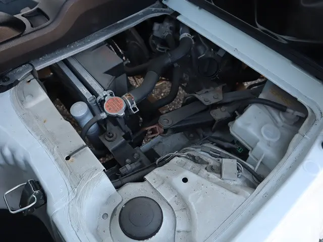 ダイハツ ハイゼットトラック 3BD-S500P(2WD)の写真18