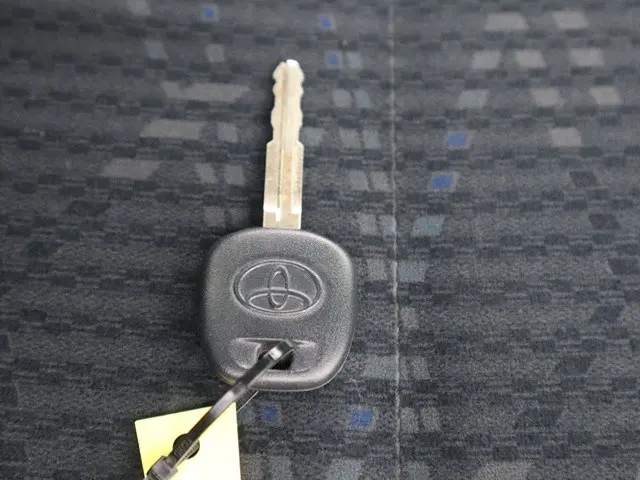 トヨタ ダイナ 2DG-GDY231(2WD)の写真41