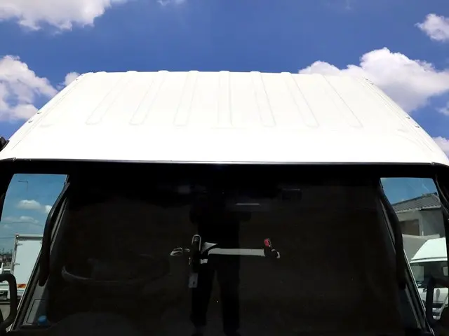 トヨタ ダイナ TPG-XZC605(2WD)の写真14