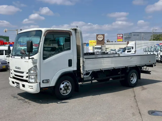 いすゞ エルフ TPG-FBA20(2WD)の写真1