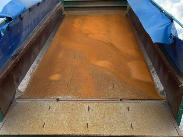 いすゞ ギガ 2PG-CXZ77CT(6x4)の写真11