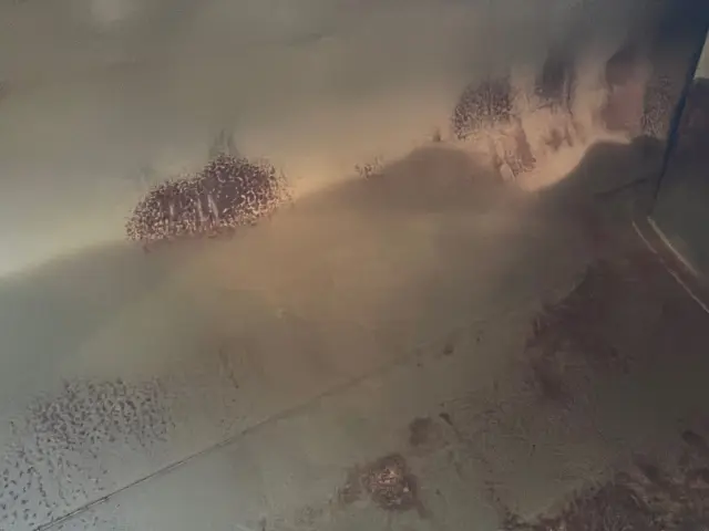 いすゞ エルフ SKG-NPR85YN(2WD)の写真10