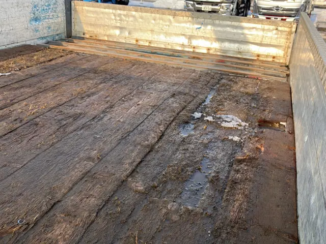 三菱 ファイター TKG-FK71F(2WD)の写真9