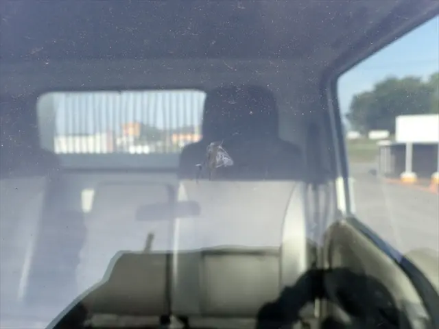 いすゞ エルフ TPG-NKR85AN(2WD)の写真38