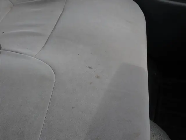 いすゞ エルフ TRG-NJR85Aの写真28