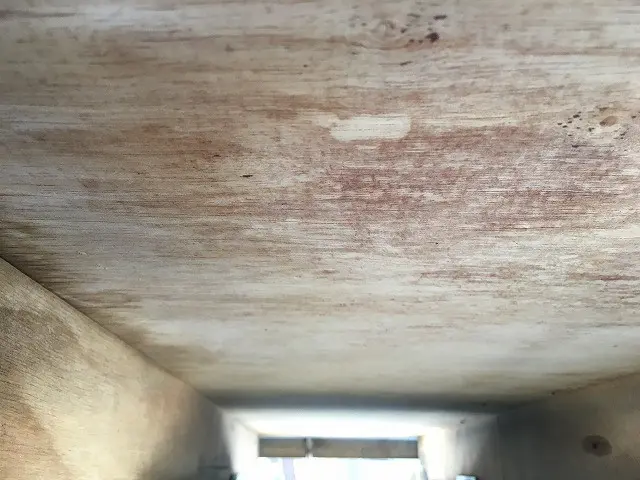 いすゞ エルフ 2RG-NKR88A(2WD)の写真37