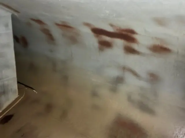 いすゞ エルフ SKG-NPR85YN(2WD)の写真11