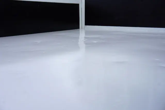 いすゞ エルフ 2RG-NJR88A(2WD)の写真19