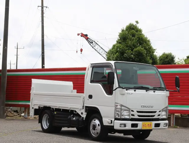 いすゞ エルフ TRG-NJS85A(4WD)の写真3