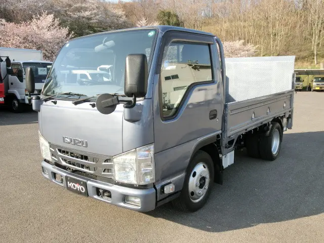 いすゞ エルフ TRG-NKR85Aの写真1