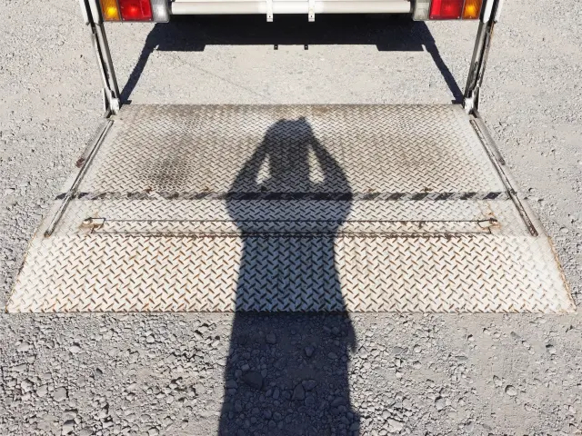 いすゞ エルフ SKG-NPR85AN(2WD)の写真12