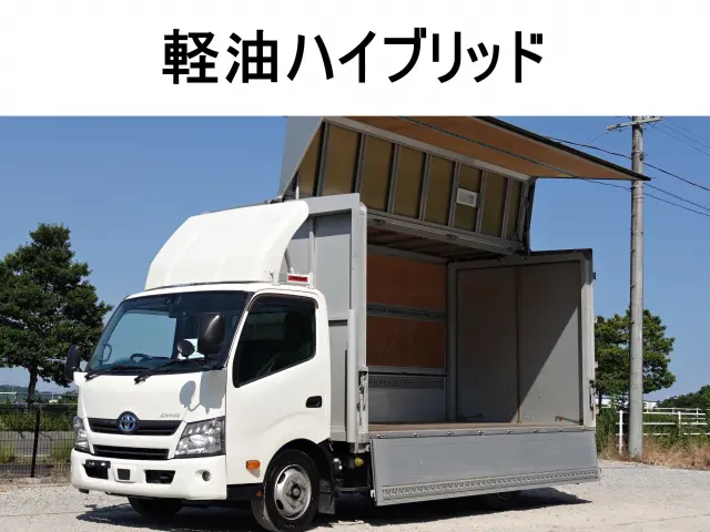 トヨタ ダイナ TSG-XKU70(2WD)の写真1