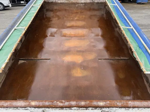 いすゞ エルフ SKG-NPR85YN(2WD)の写真10