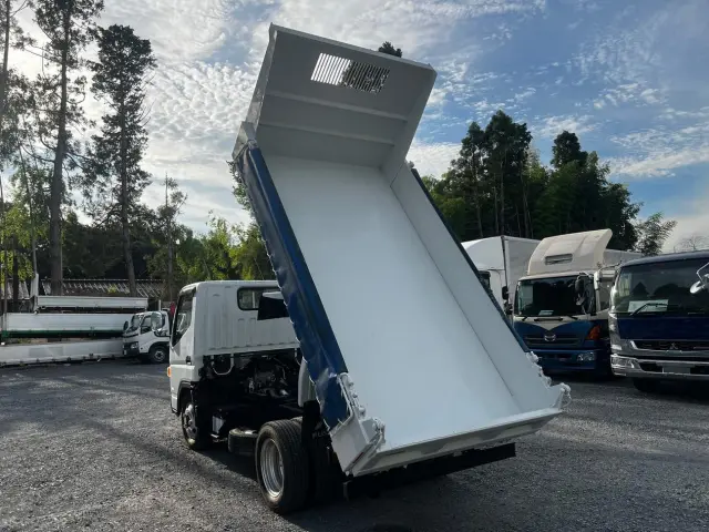 三菱 キャンター TPG-FBA30(2WD)の写真12