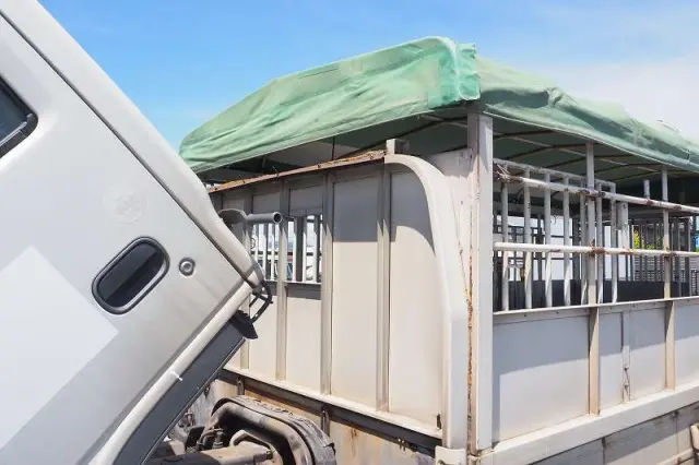 日産 アトラス PB-APR81AR(2WD)の写真40