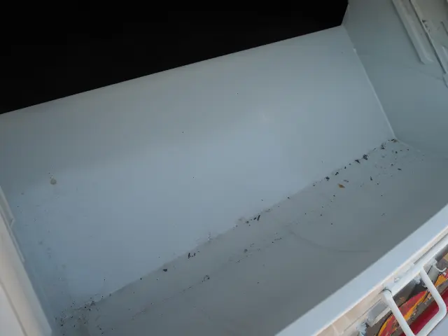 三菱 キャンター TKG-FEB90(2WD)の写真30