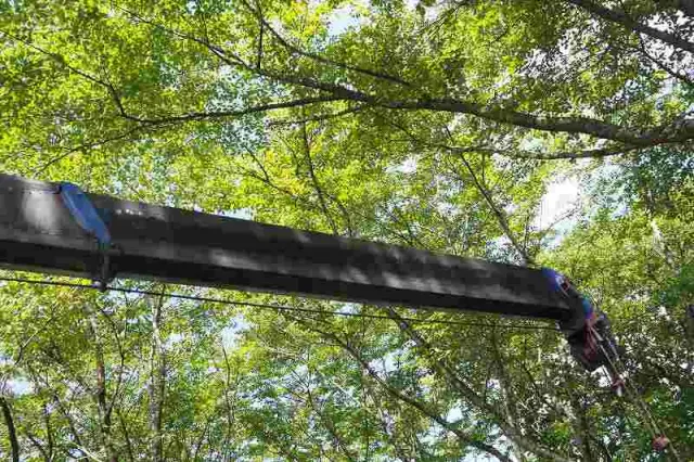 日野 レンジャー SKG-FD9JMAA(2WD)の写真21