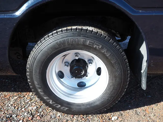 三菱 ローザ TPG-BG640G(4WD)の写真19