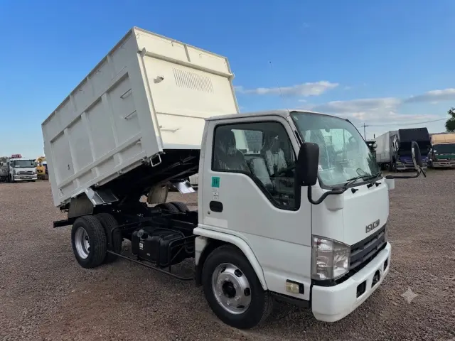 いすゞ エルフ SKG-NKR85YN(2WD)の写真7